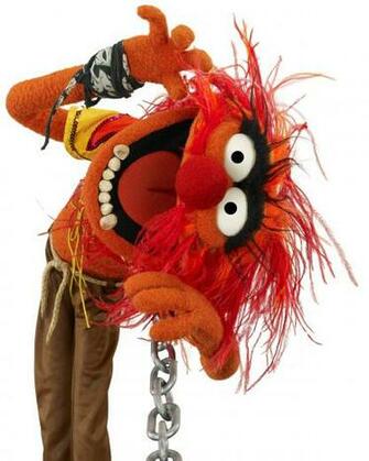 Animal Muppets Wallpaper Imagui