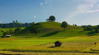 Select Set As Desktop Background Wallpaper Nature Fields