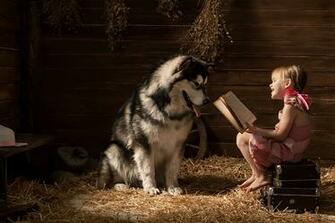 Photos Little Girls Alaskan Malamute Dog Smile Children Suitcase