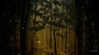 Landscapes Nature Trees Wood Forests Woods Fireflies