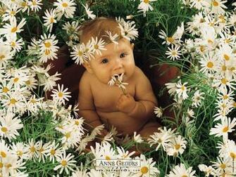 Anne Geddes Baby Wallpaper Prints Desktop
