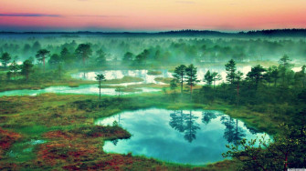 4k Nature Wallpaper