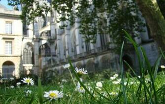 Wallpaper Field Grass Church Cathedral France
