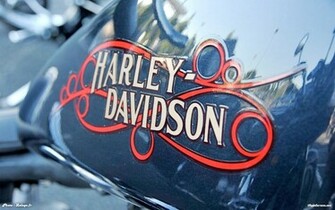 Harley Davidson Logo Desktop Wallpaper Memes