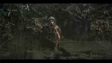 Jibaro