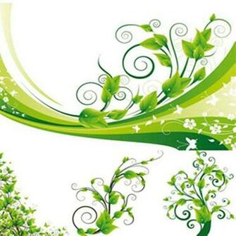 Green And White Abstract Floral