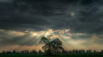 Under Cloudy Sky Nature HD Wallpaper