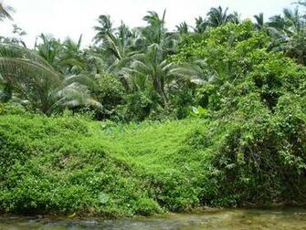 Scenery Wallpaper Waterfall And Tropical Island