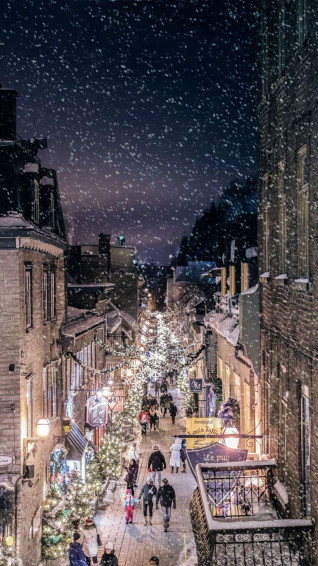 Gabriela Ferreita On iPhone Wallpaper Winter