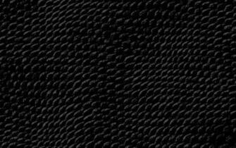 Dark Black Wallpaper 0c Reptile Skin Hq