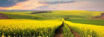Agrotour Slavonija Poljoprivredna Tv