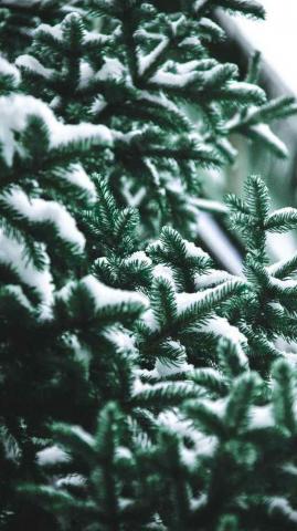 Stunning Christmas Wallpaper Background For iPhone