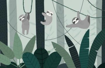 Cute Illustrated Sloth Wallpaper Mural Hovia Ca