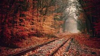 Indie Folk Compilation Fall Wallpaper Autumn