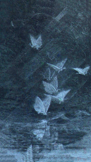 Fairy Aesthetic Wallpaper