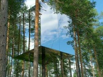 Amazing Tree House Hits All