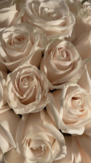 On Flower S In Wallpaper