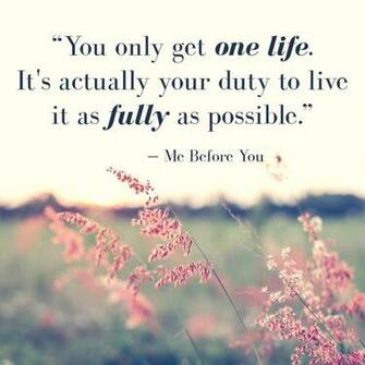 To Use Euthanasia Or Not Life Oh