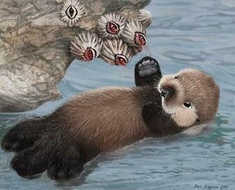 Baby Sea Otter And Barnacles Intertidal High By Psithyrus On