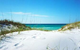 White Sanded Beach In Florida Wallpaper Jpg