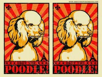 Obey Propaganda Wallpaper Obeythepurebreed Poodle Html
