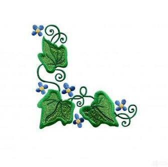 Ivy Border