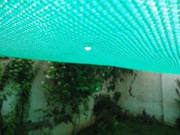 Wallpaper With Sound Effects On