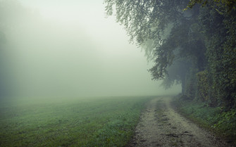 Foggy Field HD Wallpaper