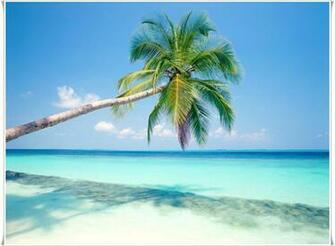 High Quality Goa Beach Wallpaper Full HD Pictures