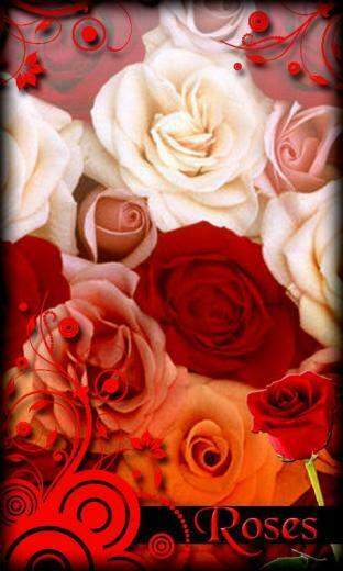 Deskripsi Roses Live Wallpaper Adalah Baru Harus Memiliki