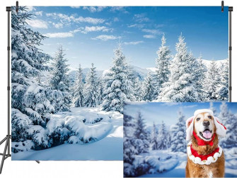 Amazon Csfoto Winter Scene Photo Backdrop