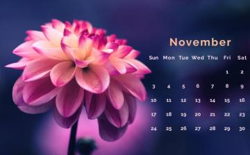 Floral November Desk Calendar Wallpaper