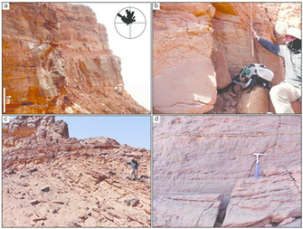 Example Of Fa5 Lithofacies A Along Cliff Face The Base