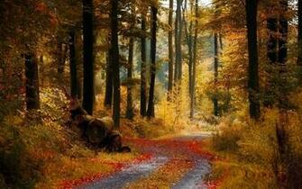 November HD Wallpaper Holidays And Observances