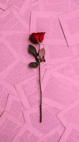 Wallpaper Flowers Background Book Rose Arts Fondos S