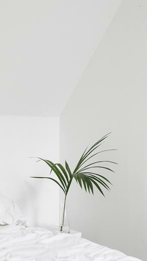 Green And White Aesthetic Wallpaper Top