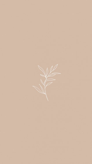 Simple Aesthetic Background Made By Shannon Shaw