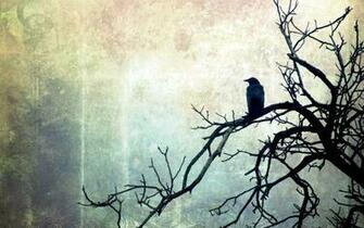 Background Bird Tree Style
