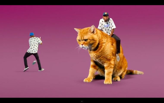 Tyler The Creator Riding Cat Rap Wallpaper
