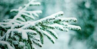 A Winter Wallpaper Mb Picserio