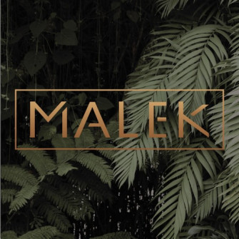 Stream Malek Music Wallpaper