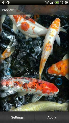 Koi Fish Live Wallpaper Android