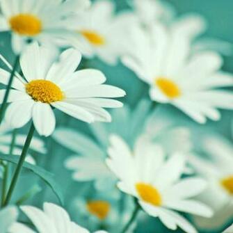 High Quality Wallpaper For Blackberry Q10 Classic Our Selection