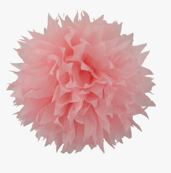 Pom Image In Collection Transparent Background Ultrasupernew