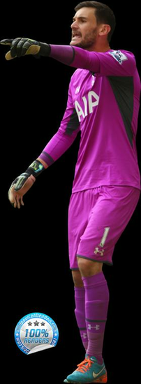 Hugo Lloris Fond Cran Wallpaper
