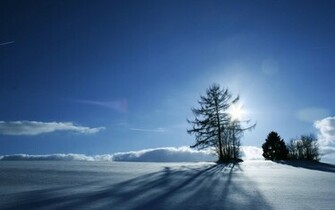 Snow HD Wallpaper The Beautiful
