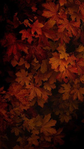Gorgeous Fall Phone Wallpaper Artofit