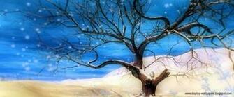 Animated Wallpaper For Laptop Screen In Our