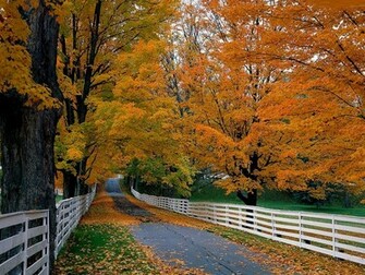 Fall Desktop Background Leaves