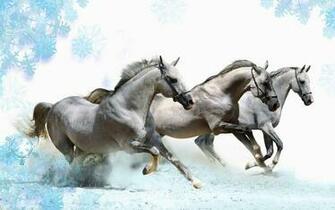 Horse Galloping Jackson Pennington Background Jw